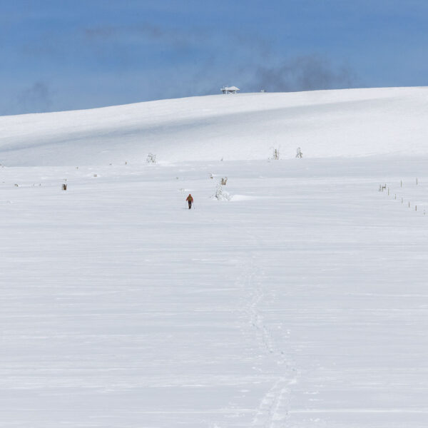 Skier touring across a wide snowfield with tracks leading toward a distant ridge in Montana