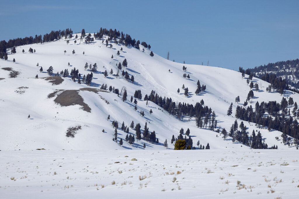 Small avalanche seen from the north road