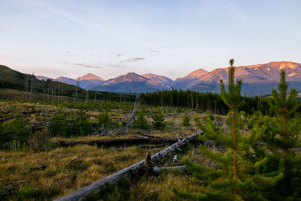Sunset over the Rocky Mountain Front viewed from the Bob Marshall Wilderness shortly before hearing a Common Nighthawk's booming courtship dive.