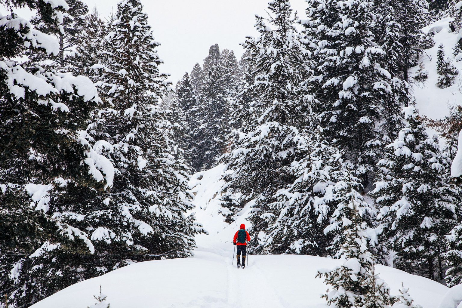 Hiking in Montana: Things You Should Know | Backyard Montana
