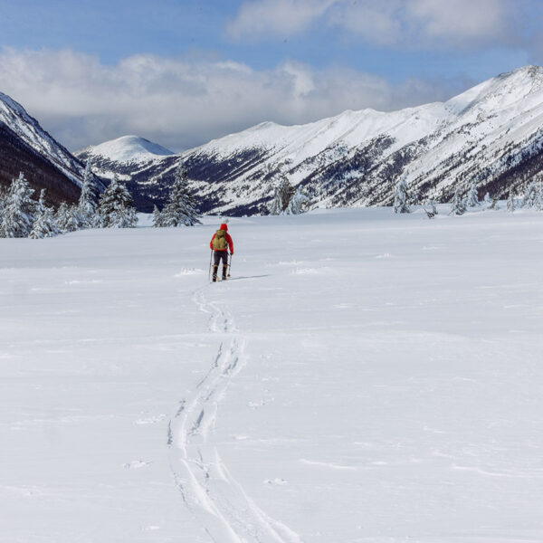 Skier touring across an open snowfield with fresh tracks leading toward snowy mountains in Montana