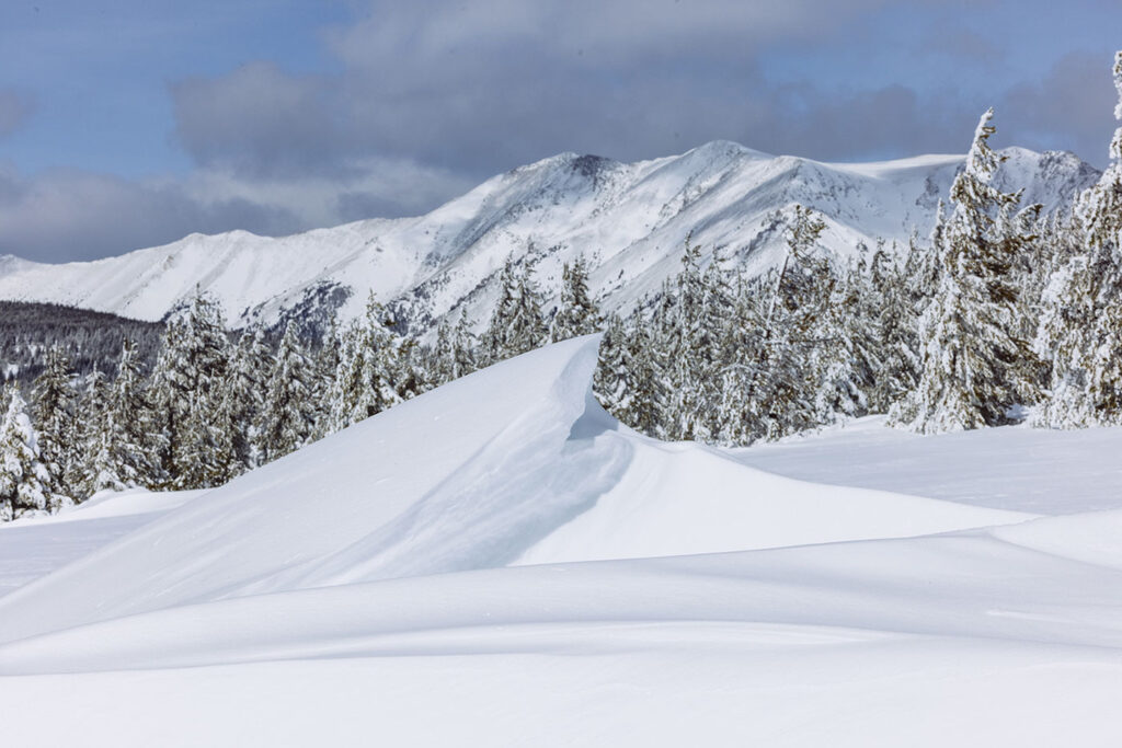 Wind-sculpted snow drift with Montana mountain peaks and rime-covered trees in the background