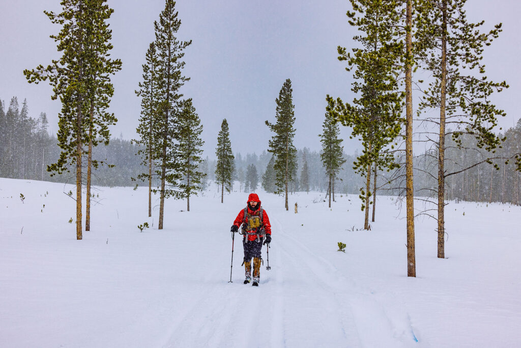 Skier wearing a red jacket traveling along a snowy trail between tall pine trees during snowfall.